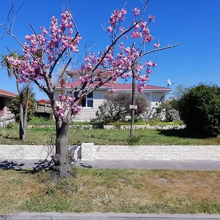 Homestay Double Room, Near The City Center Christchurch Eksteriør bilde