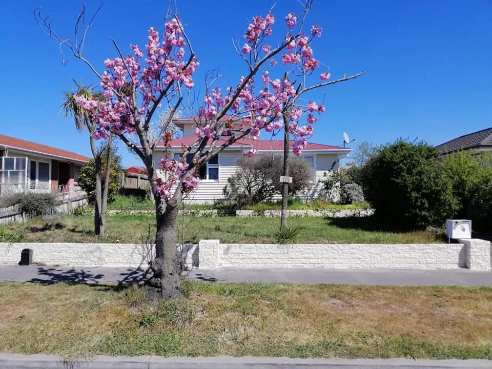 Homestay Double Room, Near The City Center Christchurch Eksteriør bilde